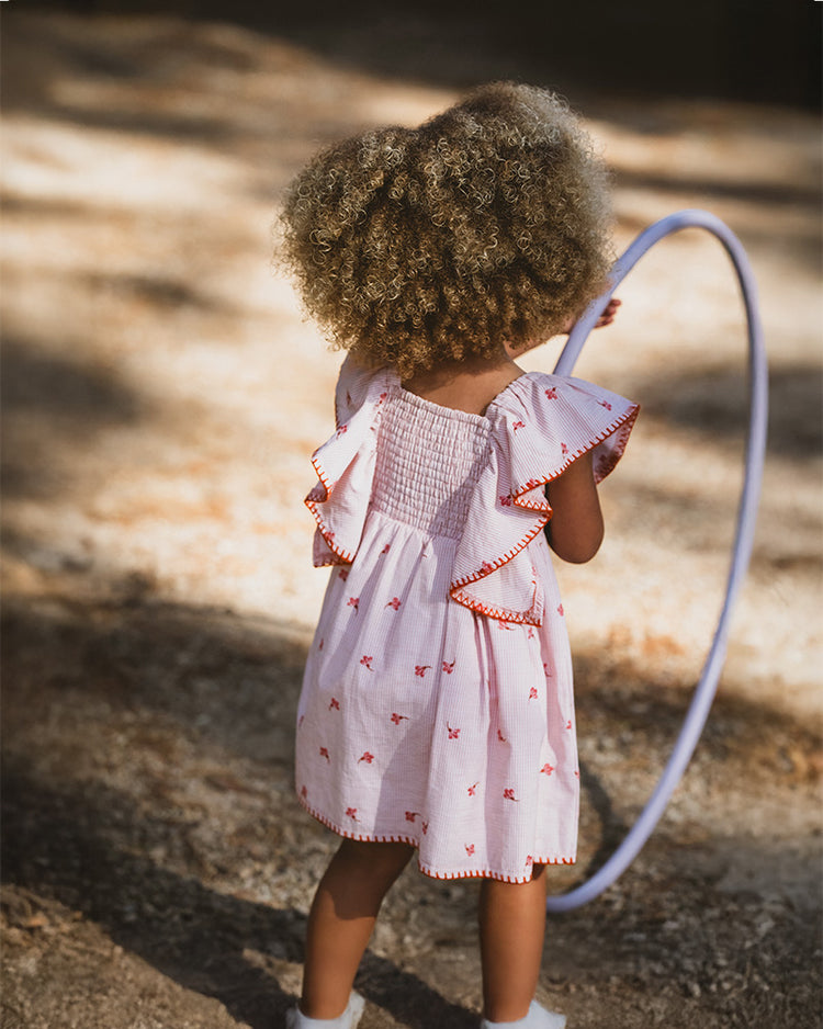 SONGBIRD EMBROIDERED DRESS