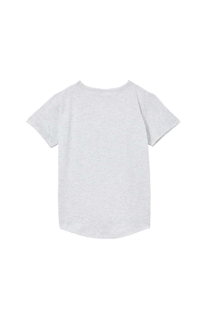 This round neck tee features a centre front dino print, on a grey jersey fabric. 